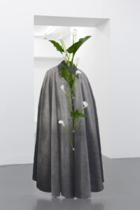 Daniel Otero Torres, Tiempo sin verte, 2018, Crayon sur aluminium, acier, verre, plantes, 86 x 160 x 49 cm