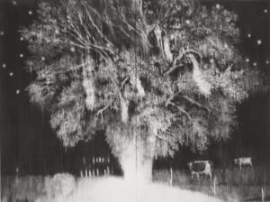 Guy Obserson, La chute des chouettes effraies, 2019, pierre noire sur papier, 180 x 240 cm (diptyque). © G.Oberson