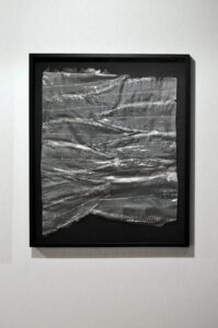 Léa Barbazanges, Asymétrie, dessous peaux de poissons plats asymétriques, 57 x 69 cm