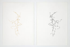 Léa Barbazanges, dessin d'une clémentine, 2010, filaments d'une clémentine assemblées en un dessin et son pendant à l'encre de chine, 28 x 38 cm