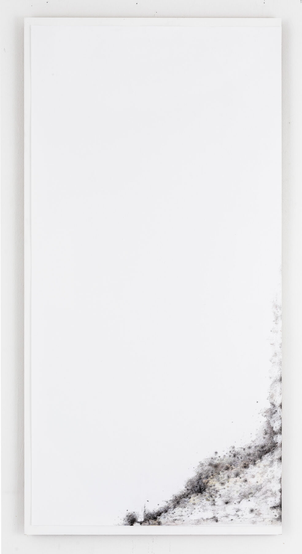 Michail Michailov
From Dust to Dust