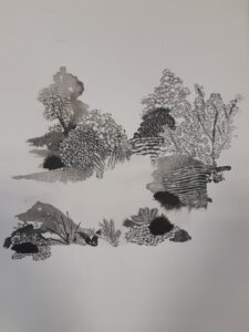 Raphaëlle Peria, Marais de Bourdon, encre de chine et grattage sur papier, 36 x 26 cm, 2019