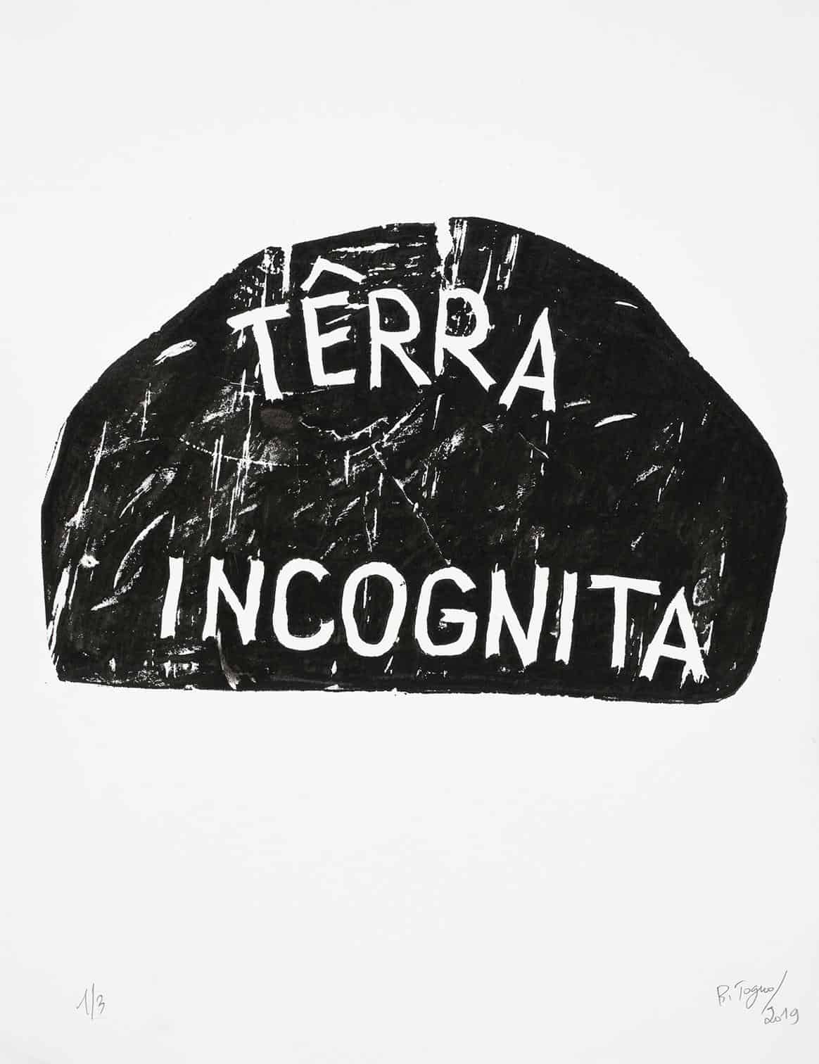 Barthélémy Toguo, Terra Incognita, 2019 Barthélémy Toguo, Terra Incognita, 2019