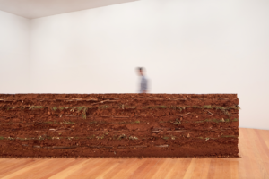 Gabriela Albergaria, Couche Sourde, 2010-2020. Pressed soil, branches and leaves, 120×984×140cm. ©Antonio Jorge Silva-1