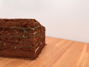 Gabriela Albergaria, Couche Sourde, 2010-2020. Pressed soil, branches and leaves, 120×984×140cm. ©Antonio Jorge Silva-2