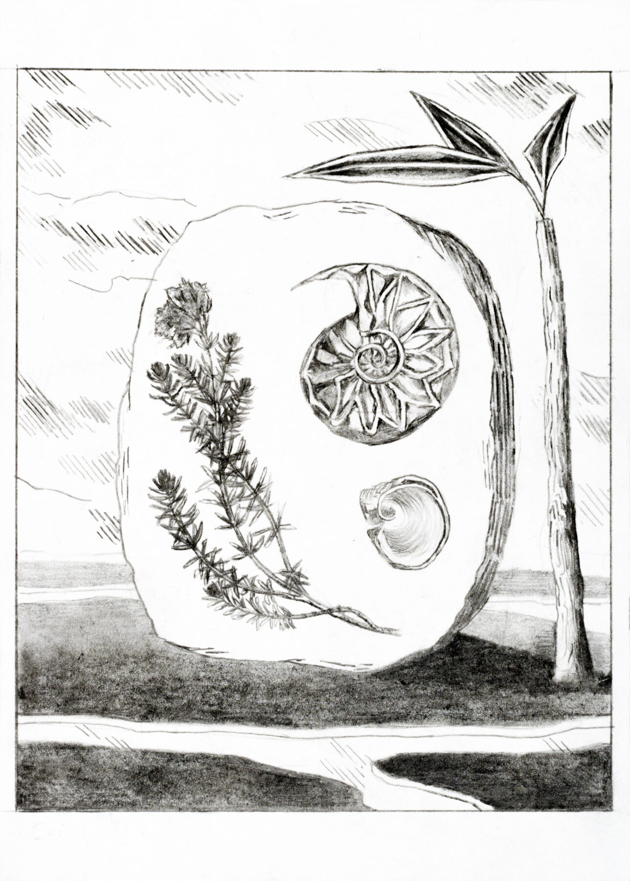 Audrey Matt Aubert , Poddema, 2020, graphite sur papier, 14,9 x 10,5 cm