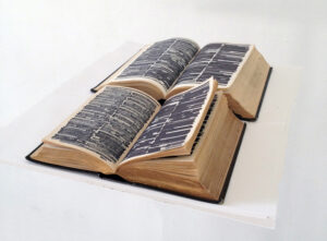 Emily Lazerwitz, Prime Guides, Dictionary, King James Bible, sharpie, 12 x 30 x 6 cm, October 2014