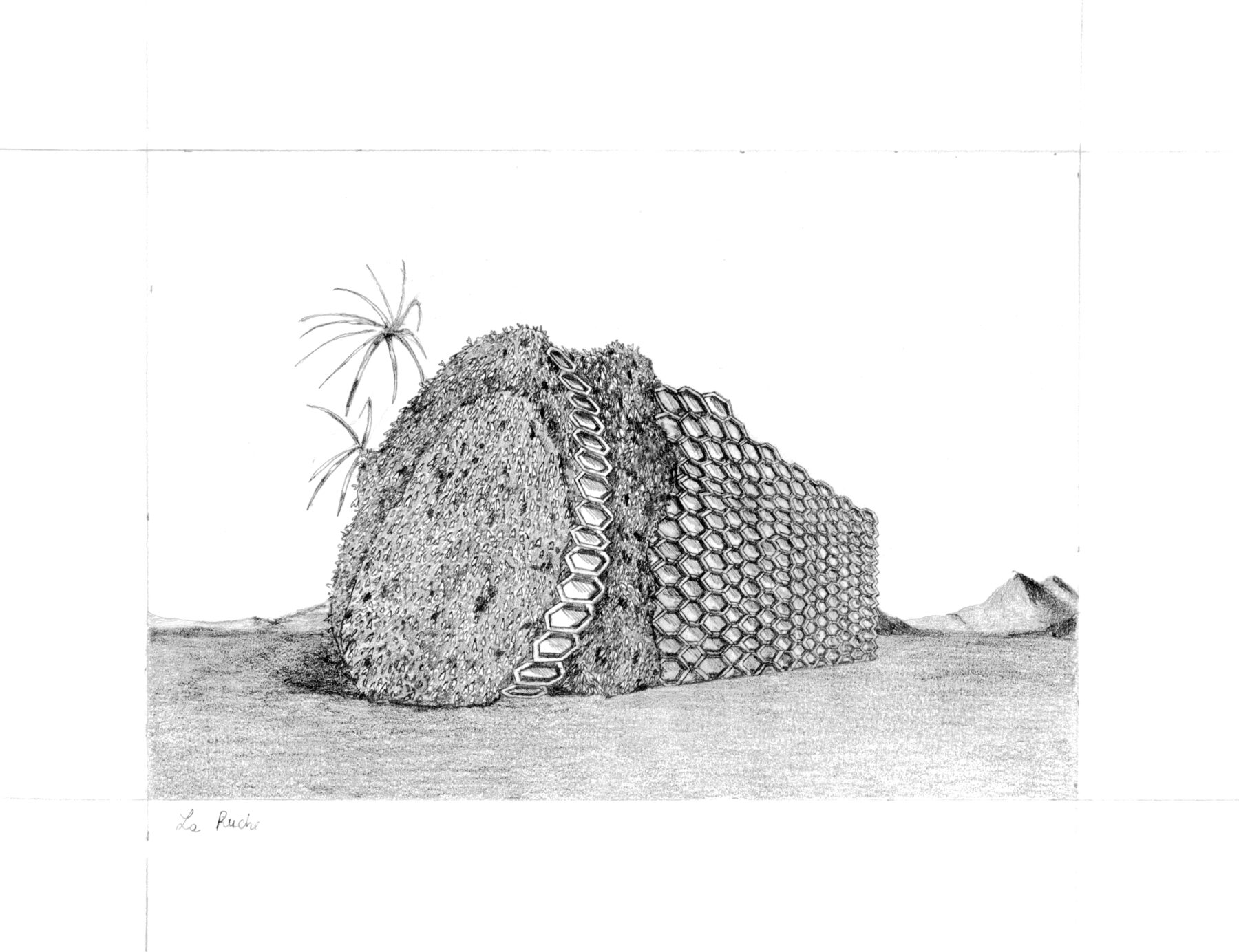 Audrey Matt Aubert, La ruche, 2016, graphite sur papier, 18x23cm