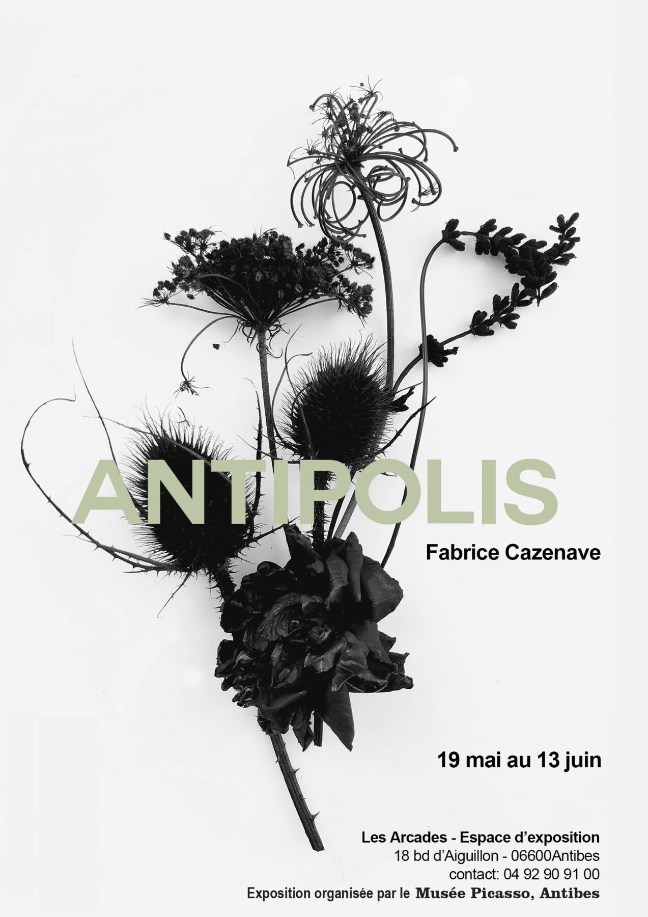 Antipolis, Fabrice Cazenave, Couverture du communiqué de presse