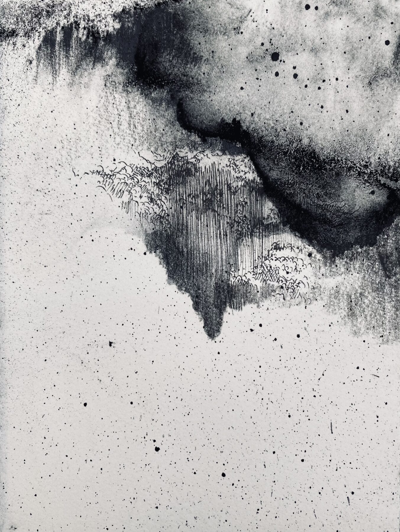 Opéra biotique, zone II, 14 x 19 cm, 2022