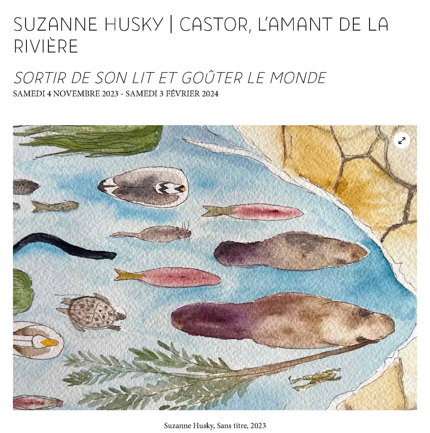 SUZANNE-HUSKY-CASTOR-LAMANT-DE-LA-RIVIERE