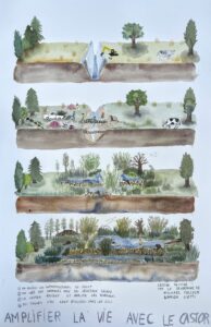 Suzanne Husky, Amplifier la vie avec le peuple castor, 2022, Aquarelle, 75 x 102cm