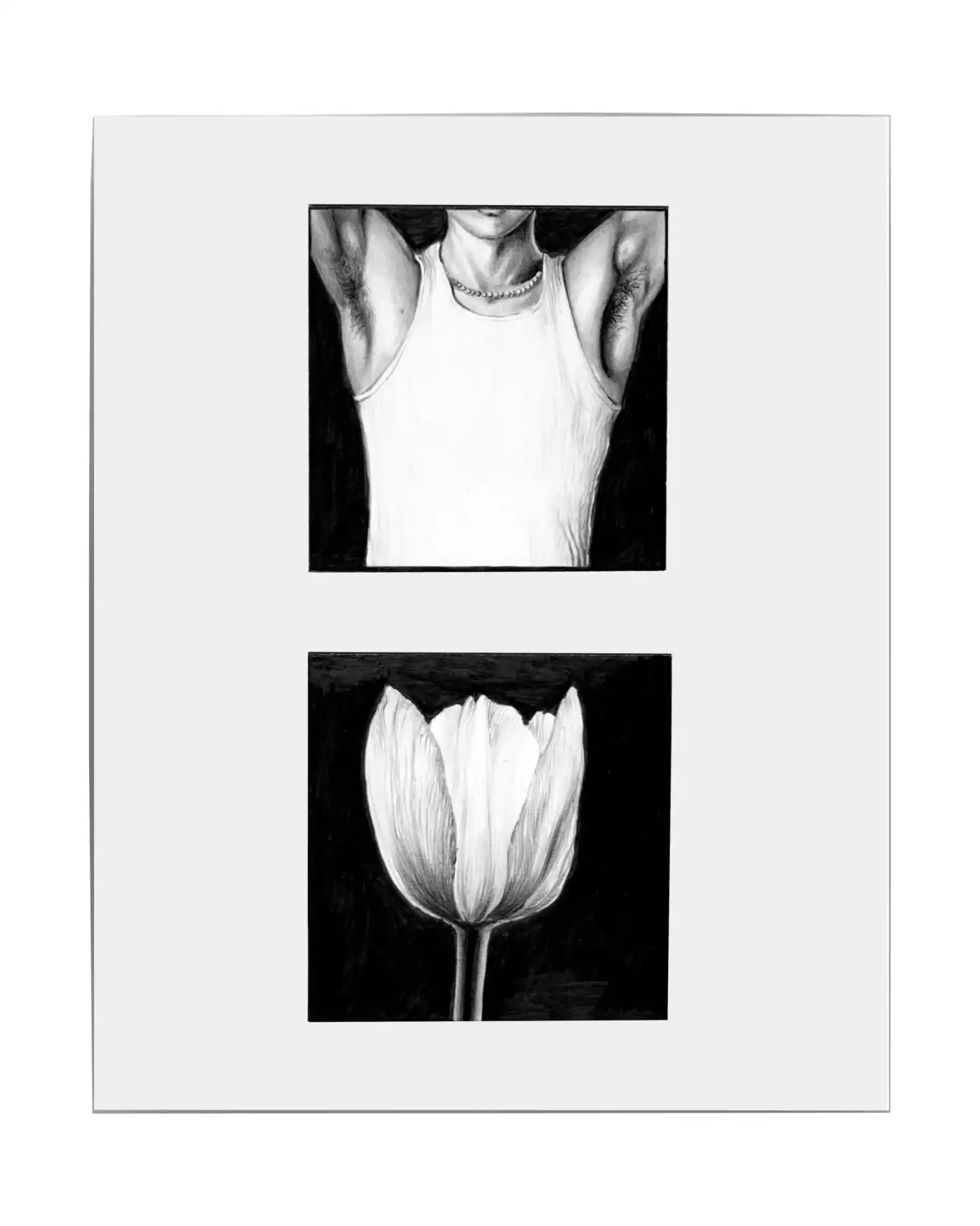 « White top & tulip »,
2025, dessin, graphite sur papier bristol, 25x30cm