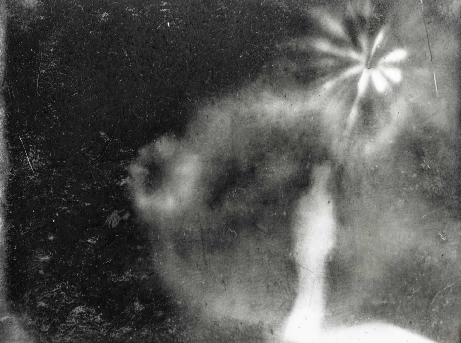 2015:05 Madge Donohoe #8 60X80 graphite sur trame digigraphique